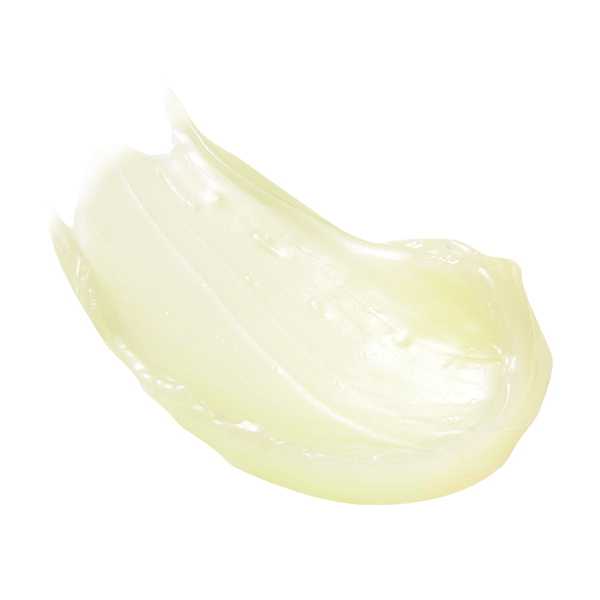 Indulge in Opulent Hydration: Miss Flower & Mr Honey Cream (70ml) | Banila Co