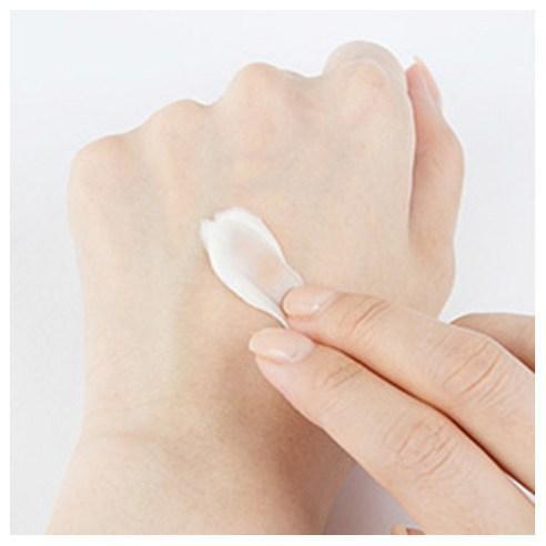 Ultimate Anti-Aging Eye Cream with Jeju Lingzhi (30ml) | innisfree