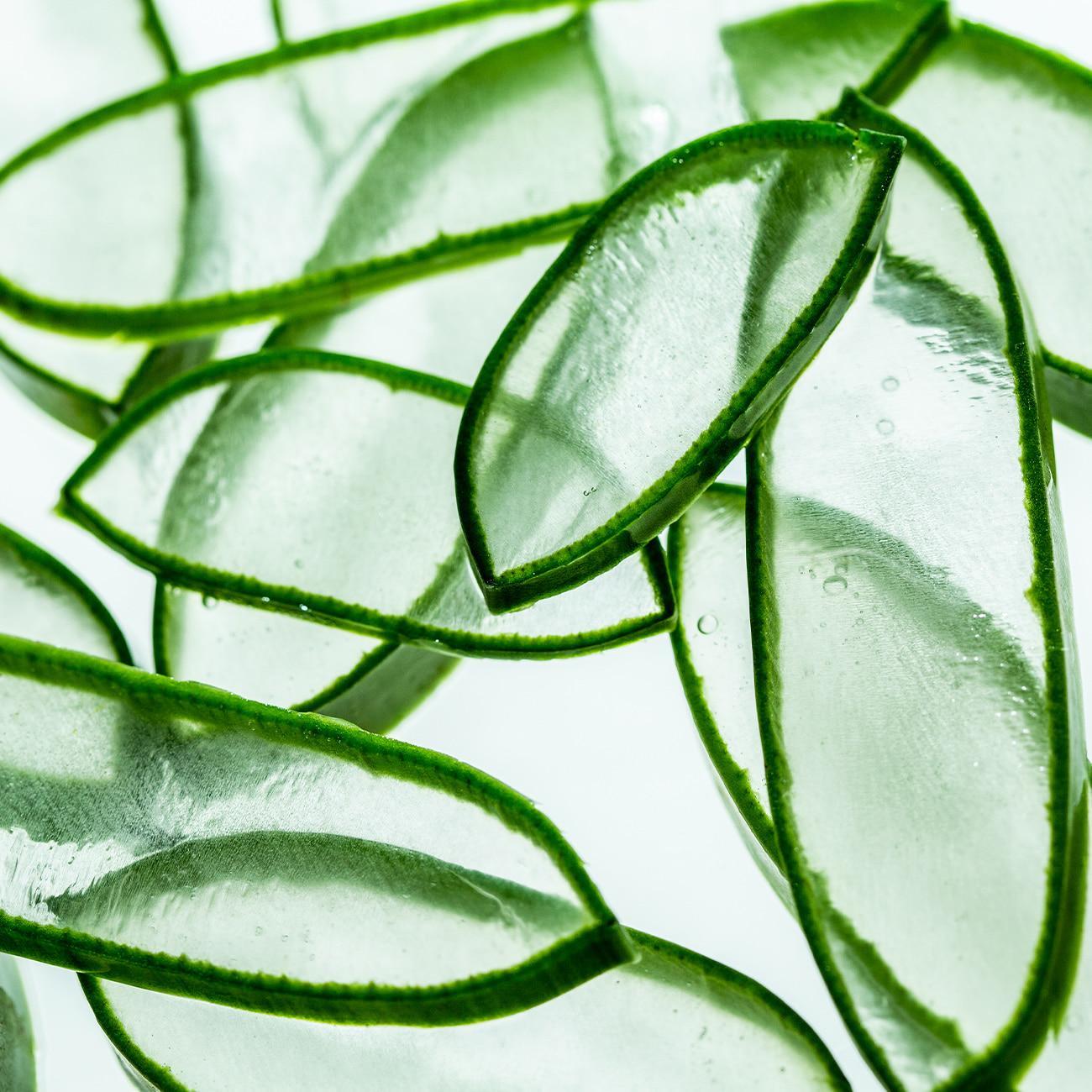 Soothing Aloe Aqua Cream 150g | Aromatica