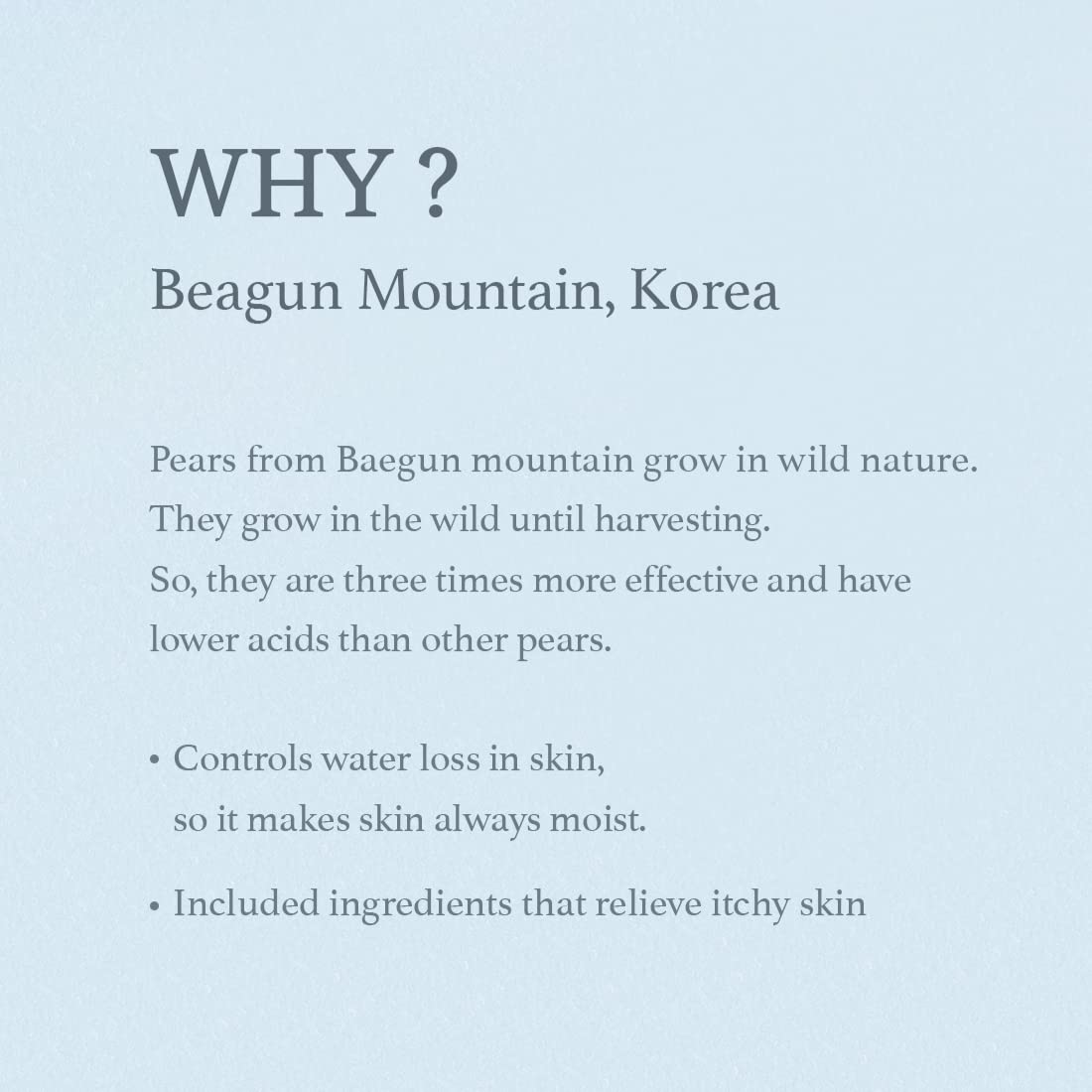 Revitalising Wild Pear Leaf Serum (50ml) | I'm From