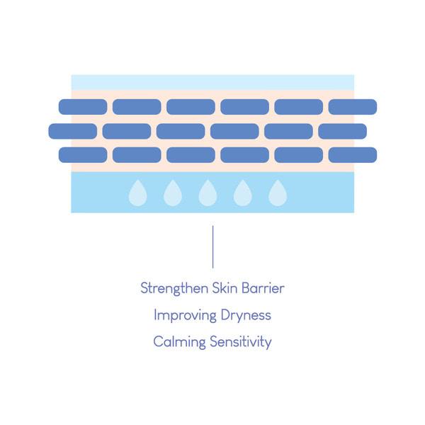 Dermide Cica Barrier Sleeping Pack 80ml | PURITO