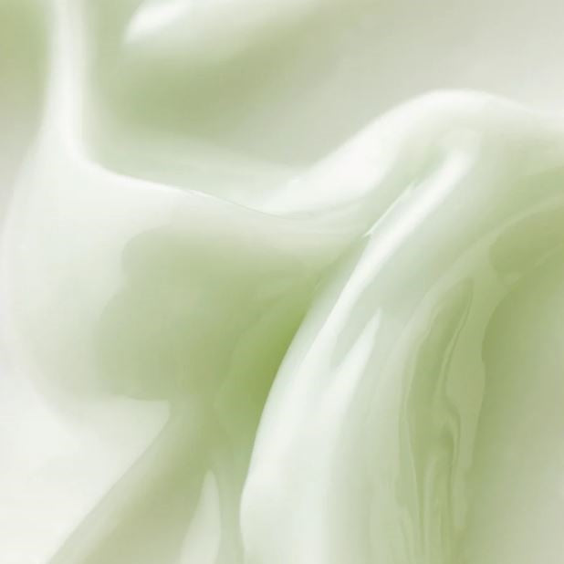 Radiance Elixir Serum: Centella & Vitamin C | Beauty of Joseon