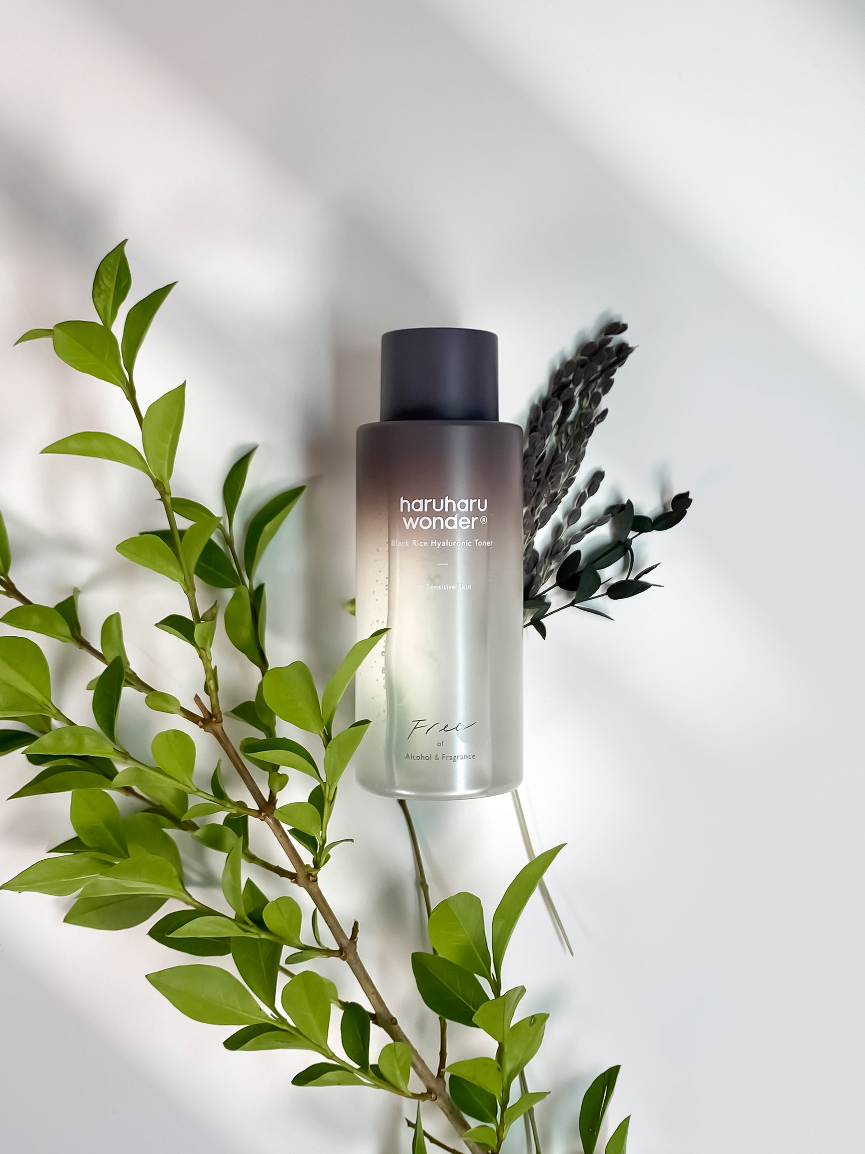 Black Rice Hyaluronic Toner for Luminous Skin | Haruharu Wonder