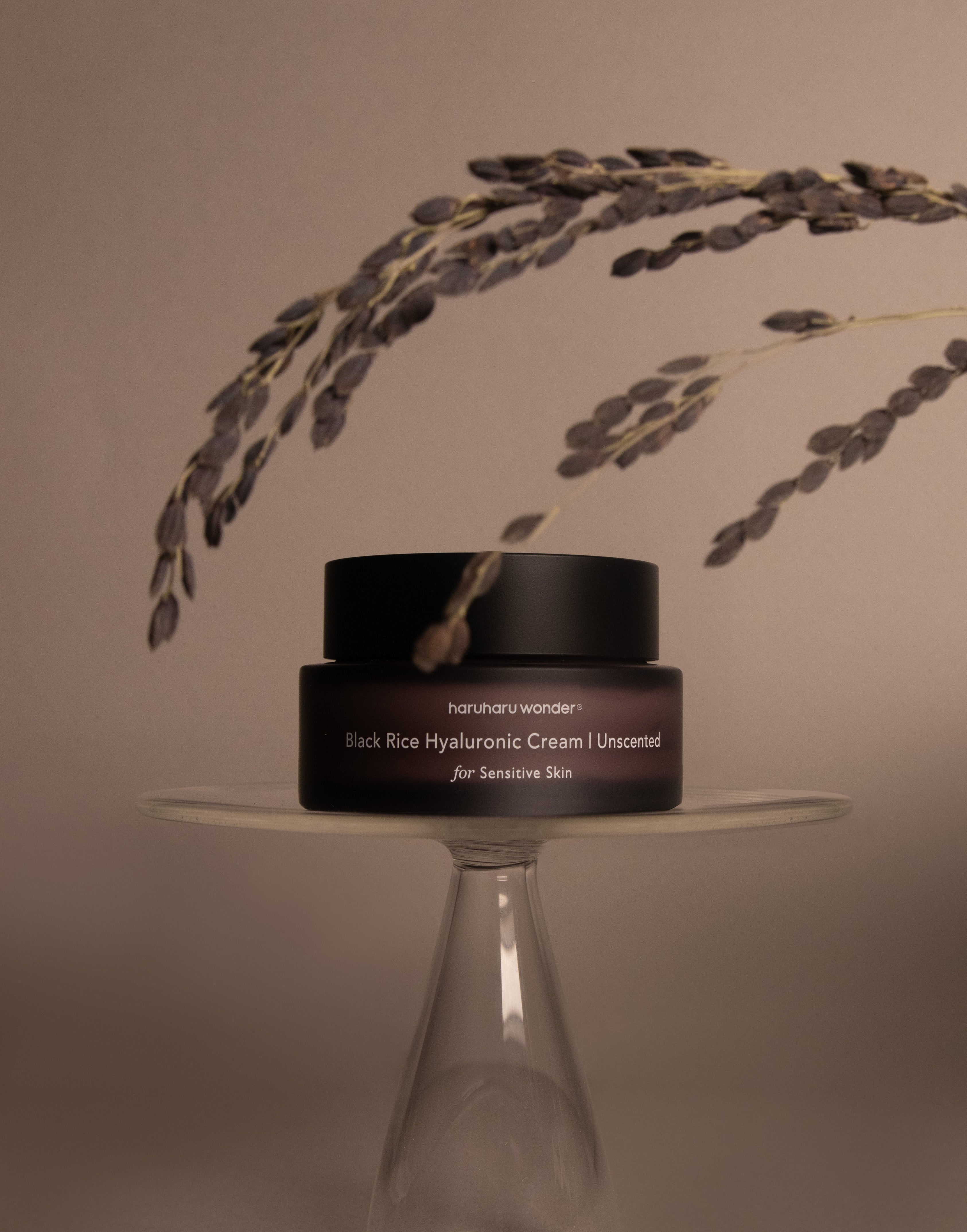 Luminous Hydrating Black Rice Cream | Haruharu Wonder