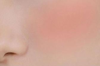 Better Than Cheek 4g # C03 Fig Chip | rom&nd