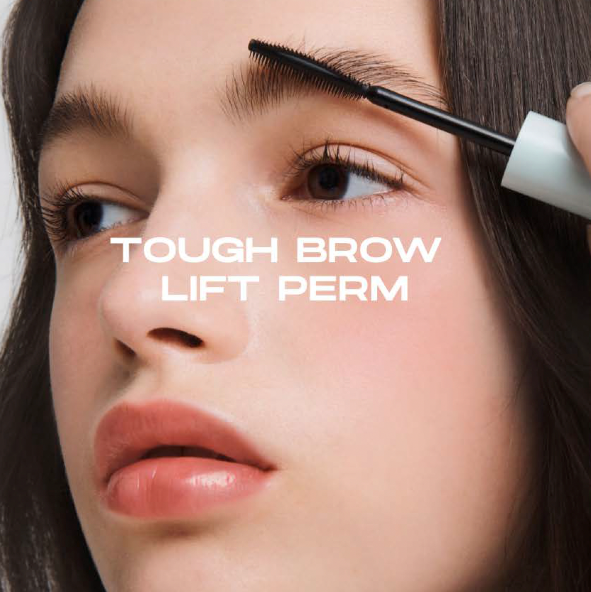 Tough Brow Lift Perm 20g | Entropy