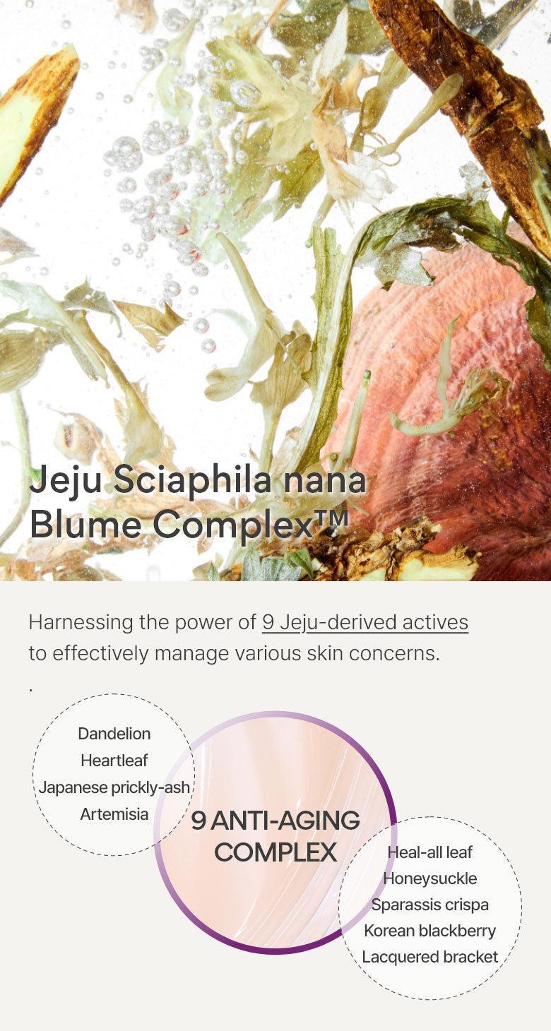 Exquisite Jeju Yeongjucho Mushroom Toner (200ml) | innisfree