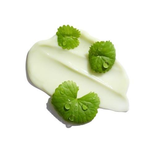 Red Blemish Cica S Cream 2X: Ultimate Soothing Hydration for Sensitive Skin (70ml) | Dr.G