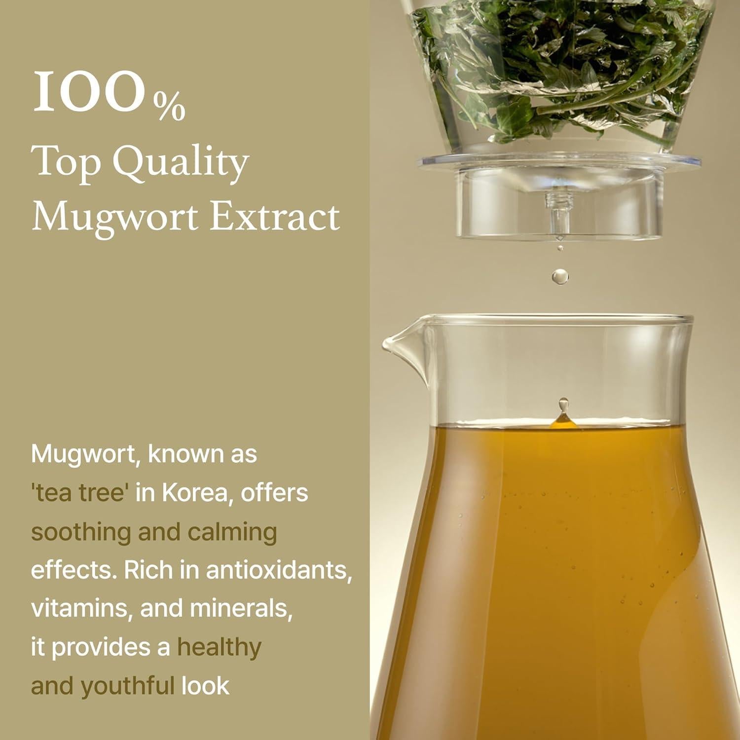 Luxurious Mugwort Essence (150g) | I'm From