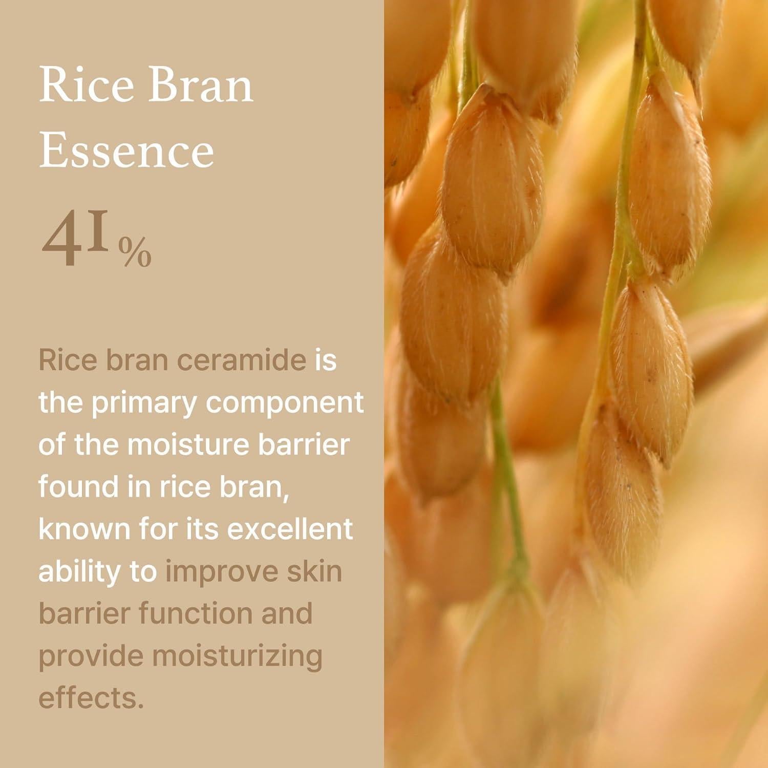 Luxurious Rice Bran Ceramide Moisture Cream (50g) | I'm From