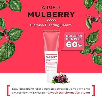 Mulberry Blemish Clearing Cream 50ml | A’PIEU