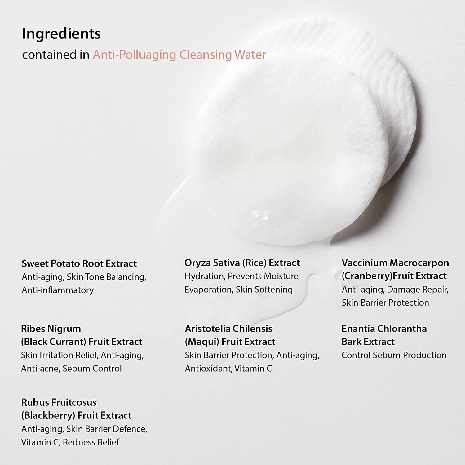 Anti-Polluaging Cleansing Water Himalayan Pink Salt 250ml | Blithe