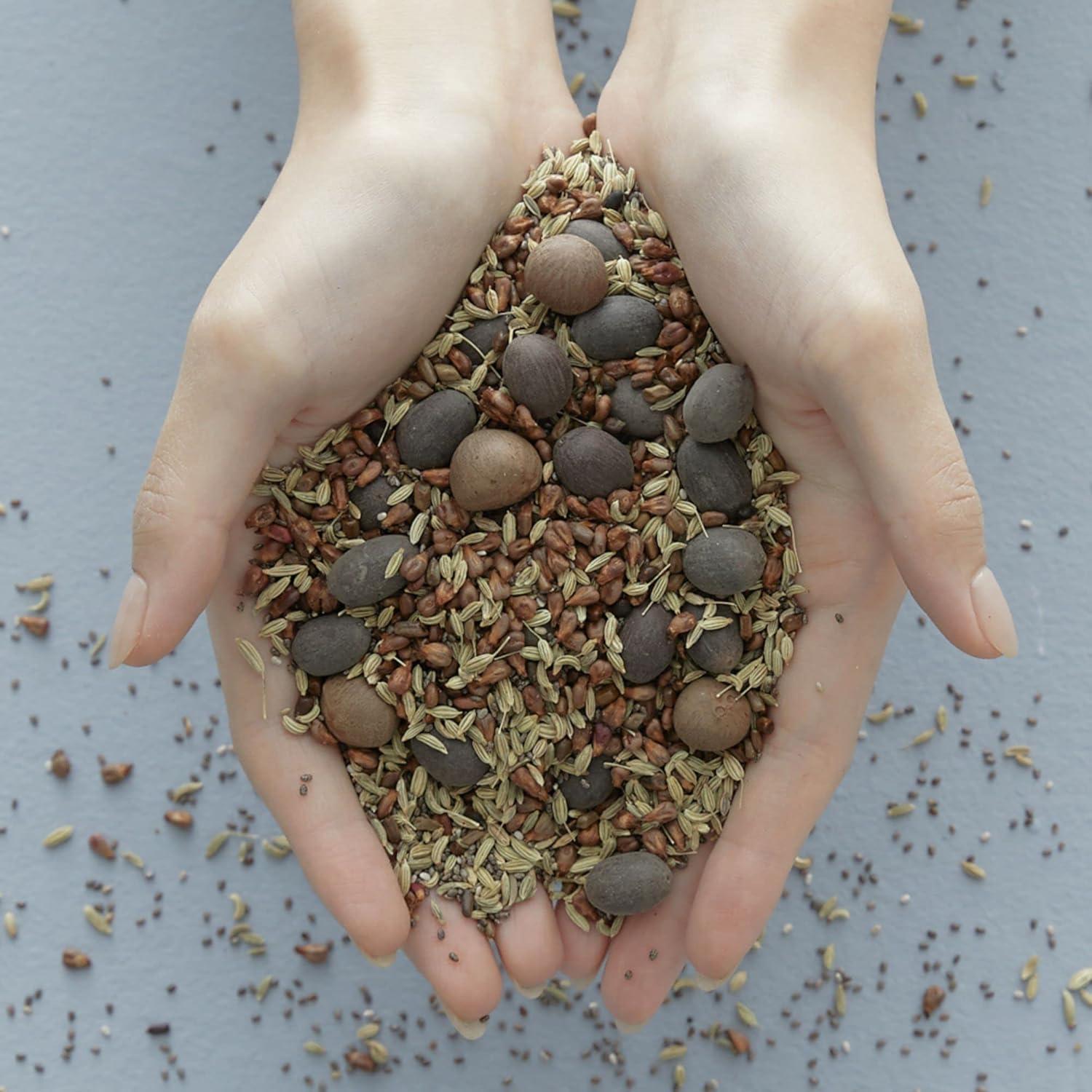 Vital Treatment 9 Essential Seeds 150ml | Blithe