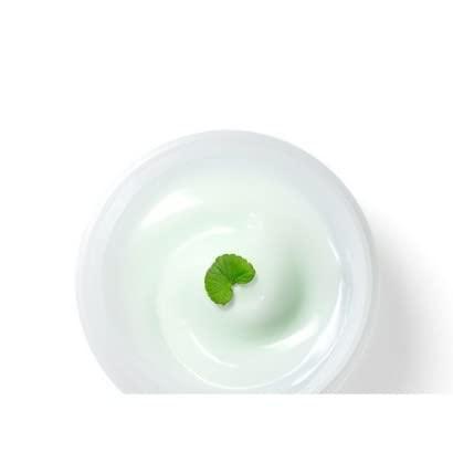Revitalising Centella Soothing Cica Cream (50ml) | Dr.G