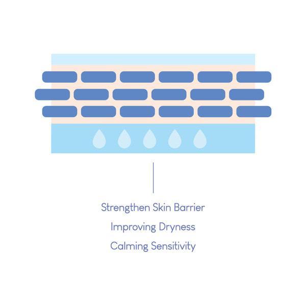 Dermide Cica Barrier Sleeping Pack 80ml | PURITO