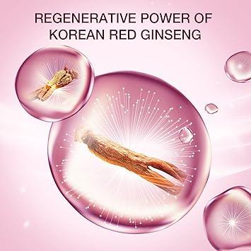 Radiant Ginseng Skin Defense Cream | DONBINGI