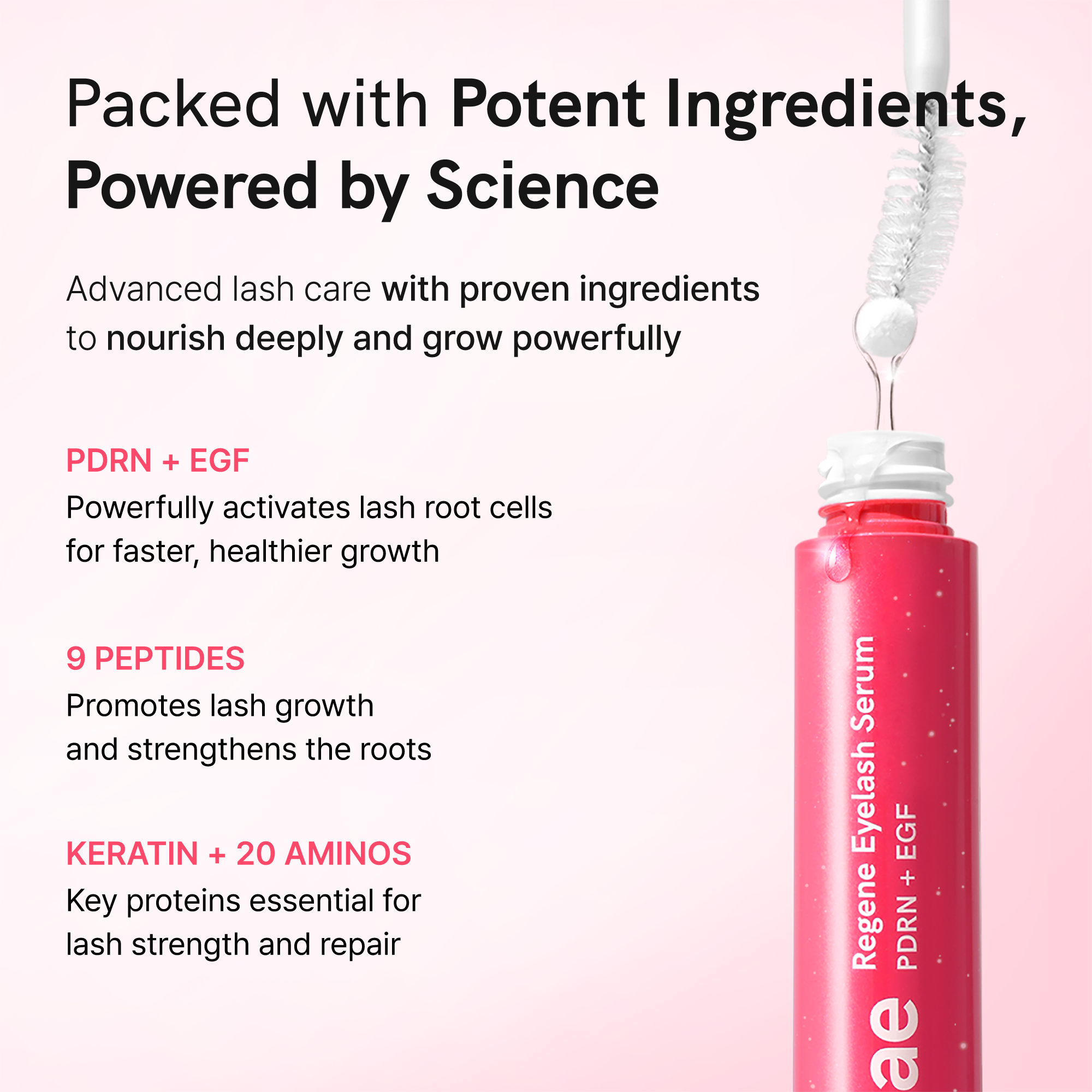Regene Eyelash Serum 10ml | Ruminae