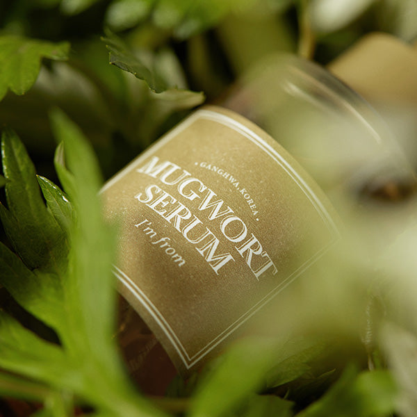 Mugwort Luxe Hydration Serum (30ml) | I'm From