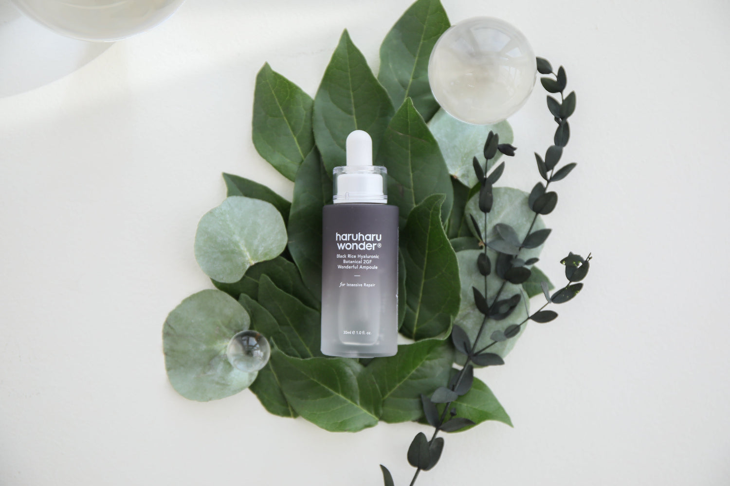 Black Rice Hyaluronic Anti-Aging Ampoule | Haruharu Wonder