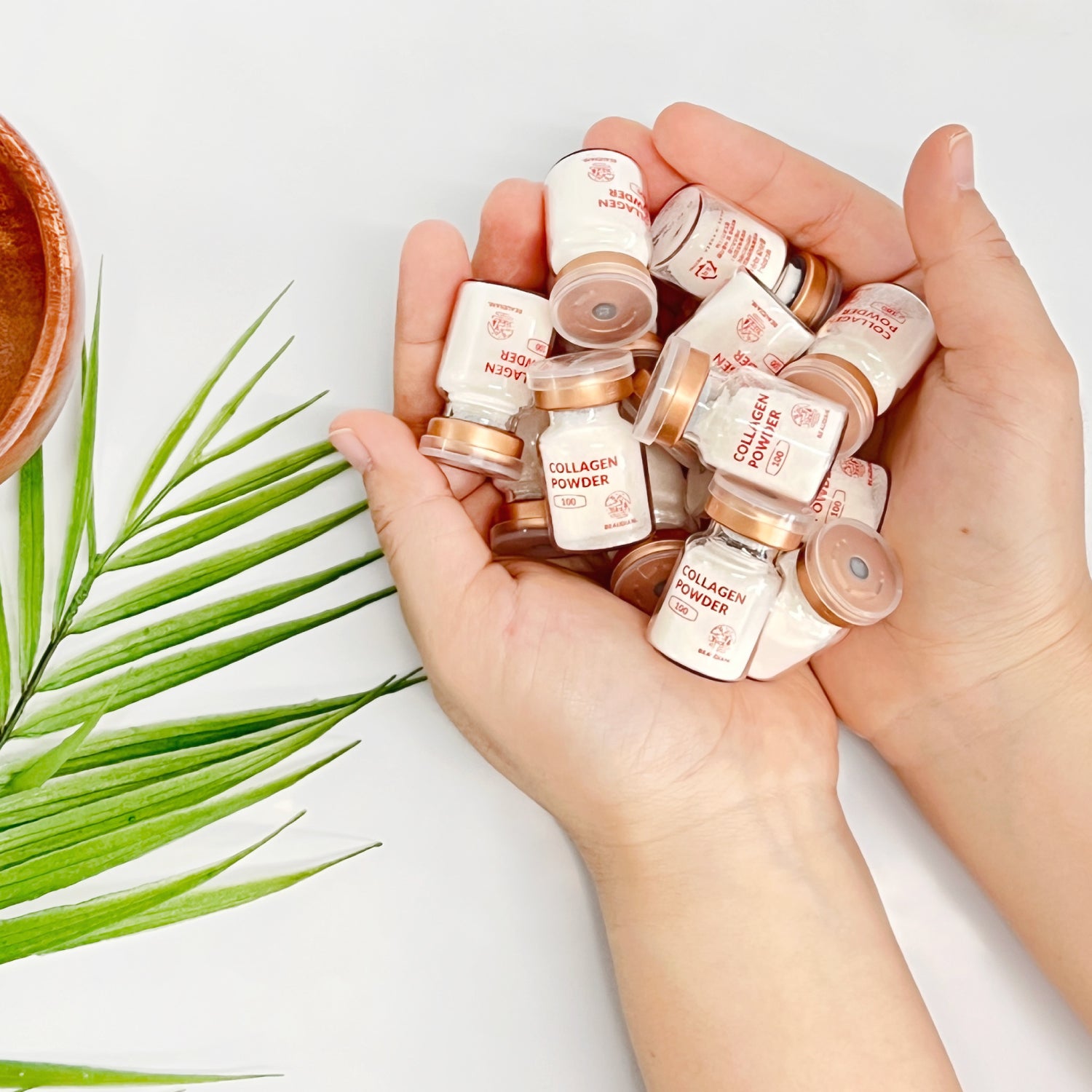 Collagen Powder 1.5g | BEAUDIANI