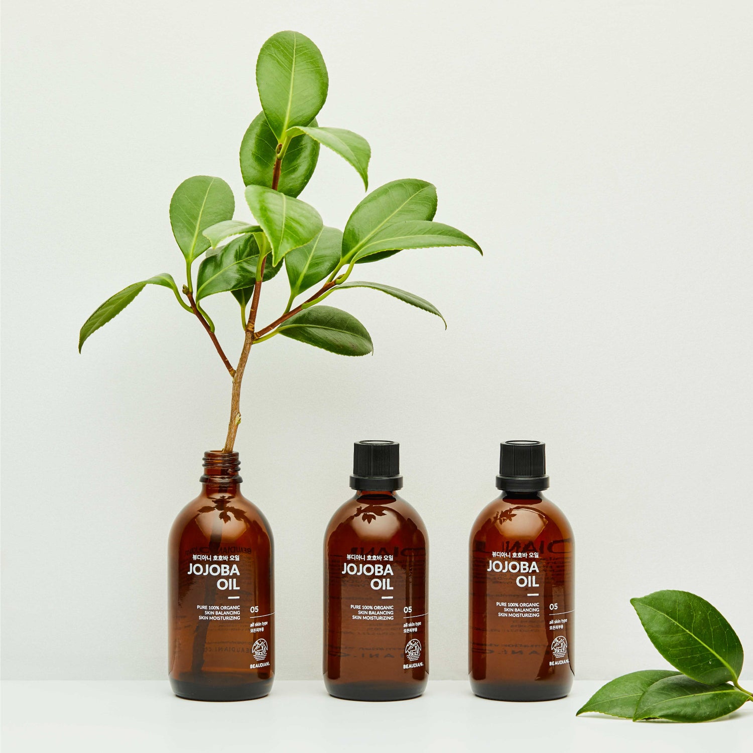 Jojoba Oil 100ml | BEAUDIANI