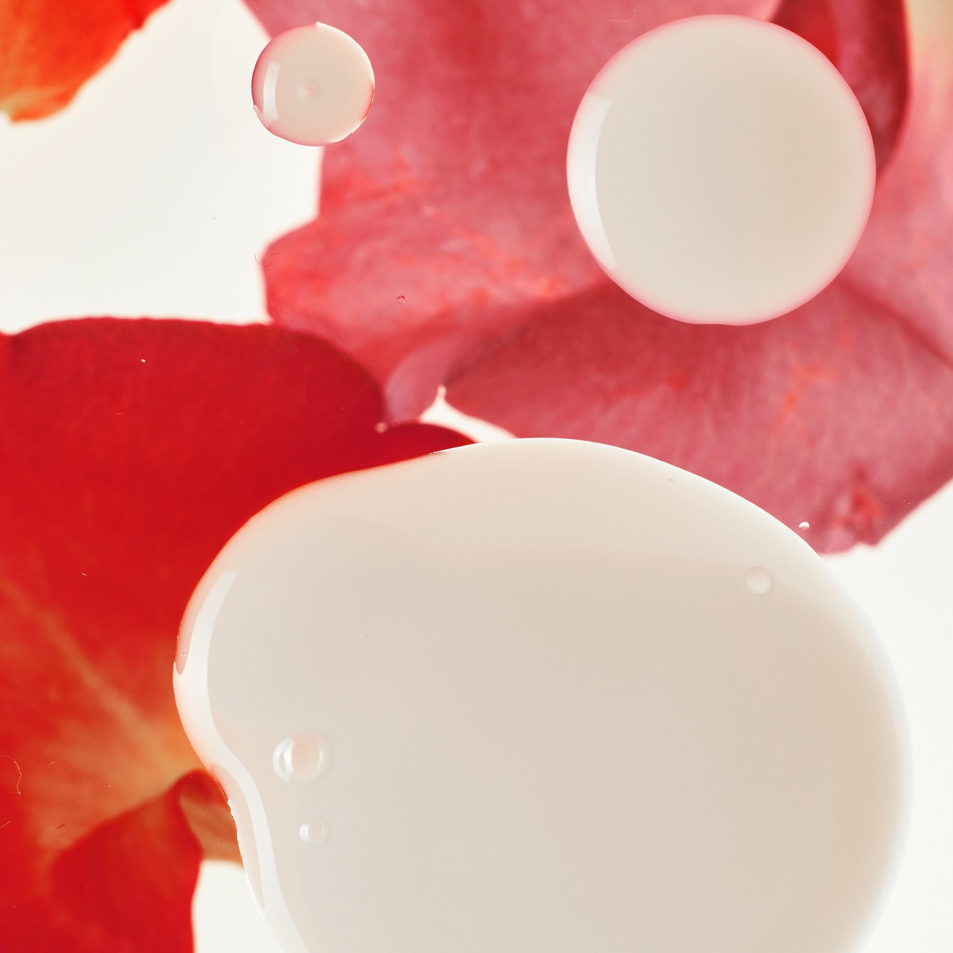 Rose PDRN Radiance Serum for Youthful Glass Skin | Haruharu Wonder