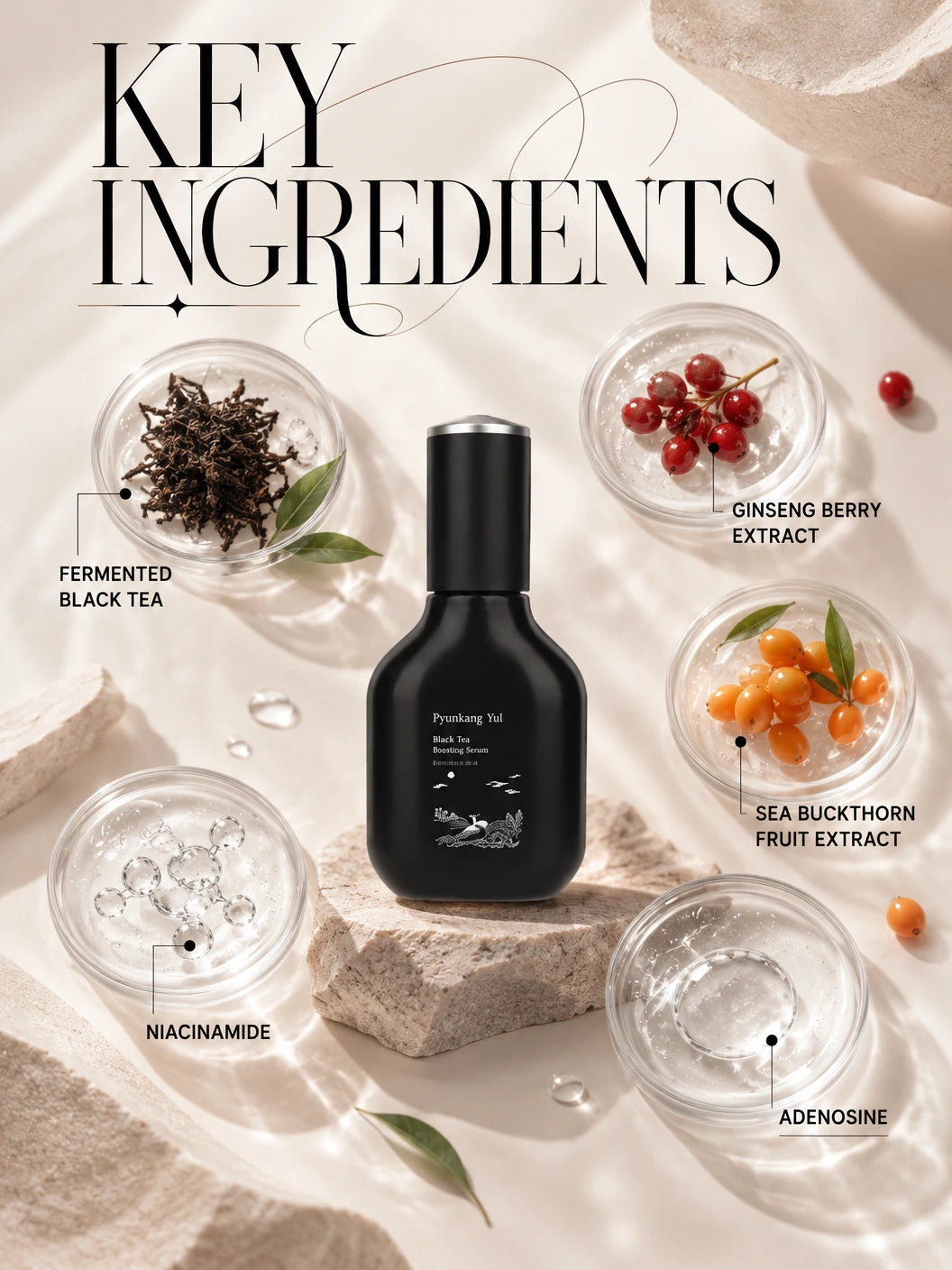 Black Tea Boosting Serum 45ml | Pyunkang Yul | Pyunkang Yul Black Tea Serum - Artisanal Luxury Elixir