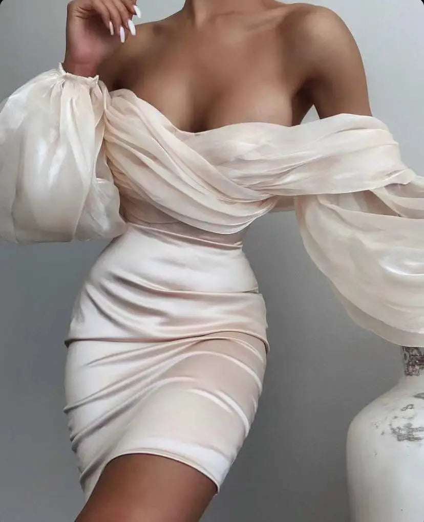 Luxurious Mesh Puff Sleeve Bodycon Dress for Women | ULZZANG BELLA