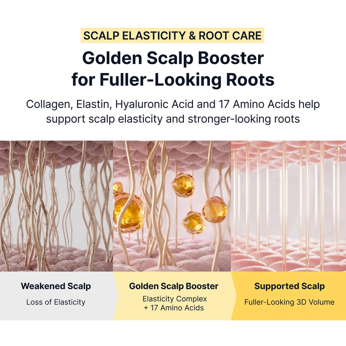Silk Peptide EGF Collagen Scalp Serum 75ml | Sungboon Editor