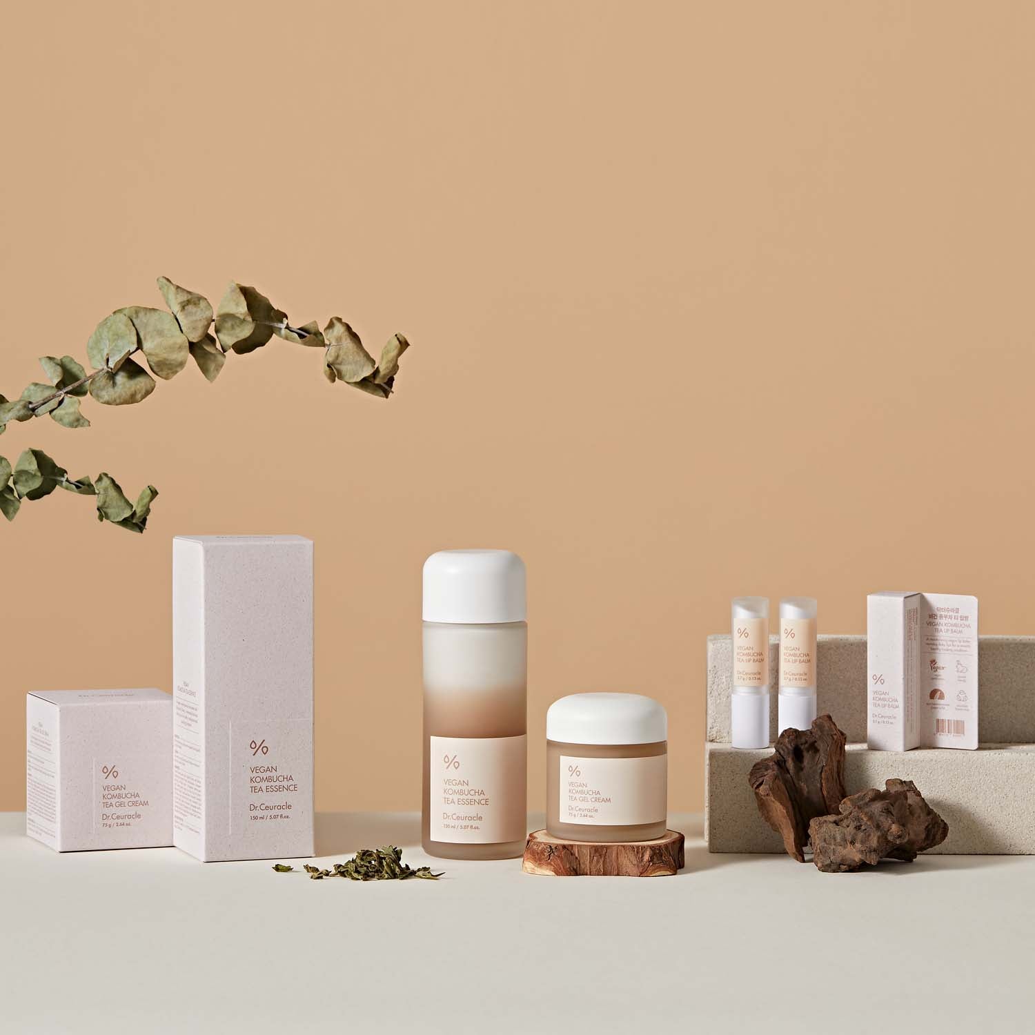 Vegan Kombucha Tea Gel Cream 75g | Dr. Ceuracle