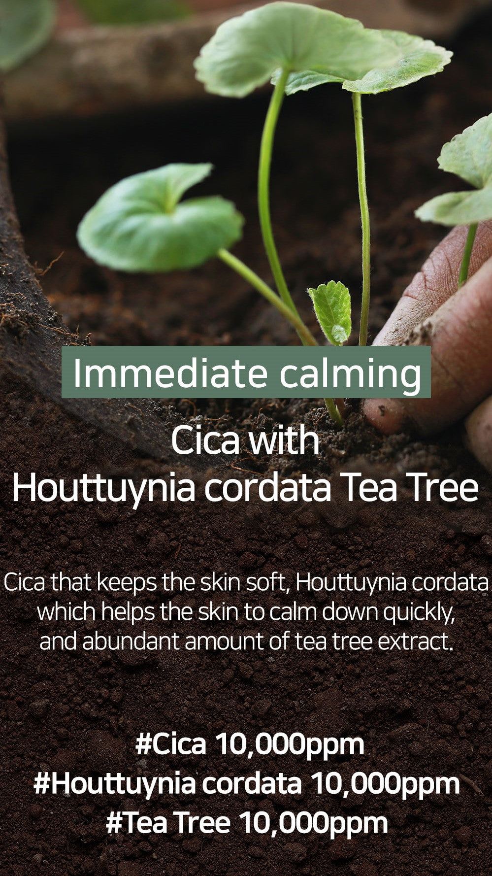 Cica Houttuynia cordata Tea Tree Calming Mask Pack - 30 sheets | Mary&May