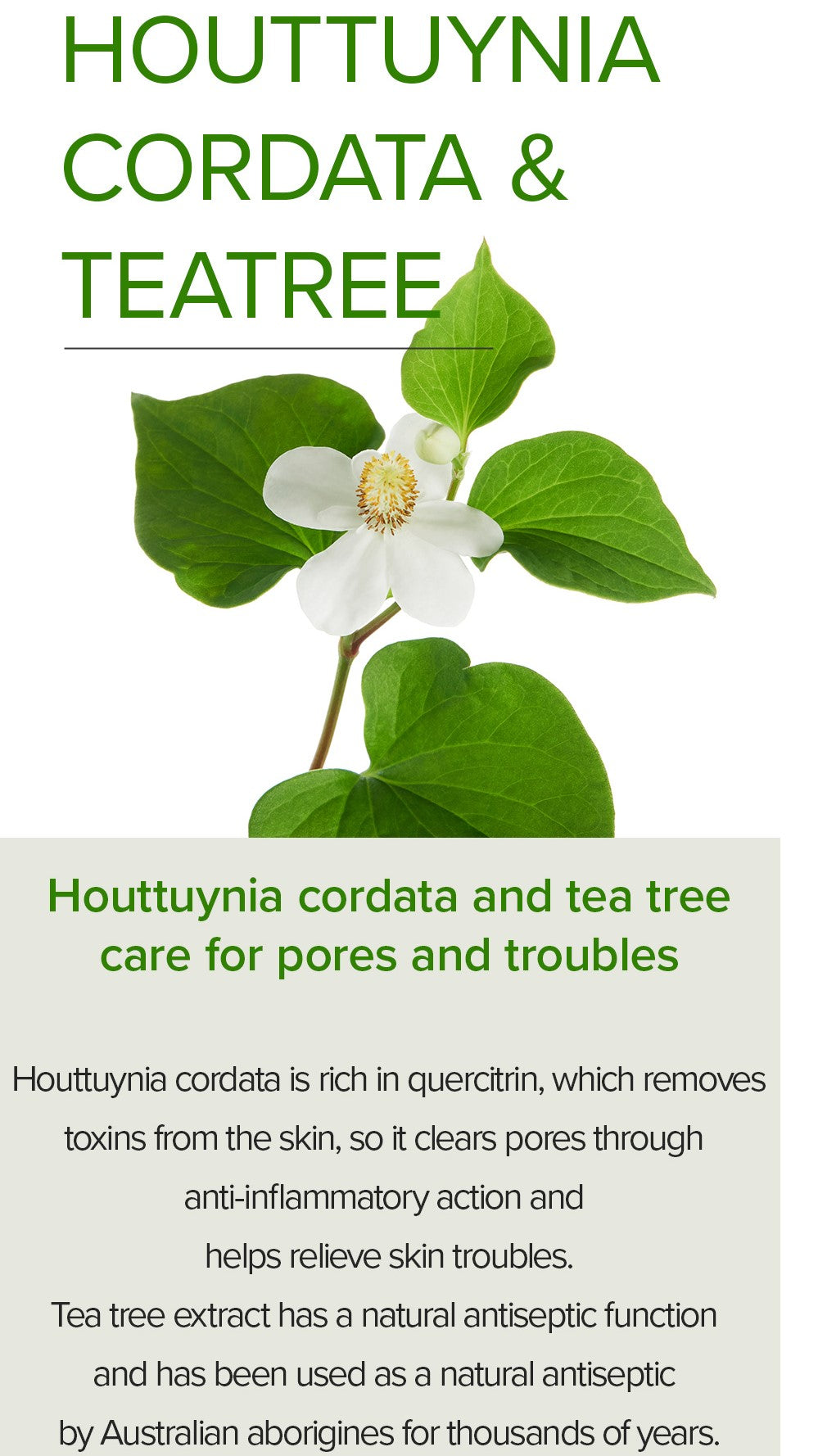 Houttuynia Cordata +Tea Tree Serum - 30ml | Mary&May