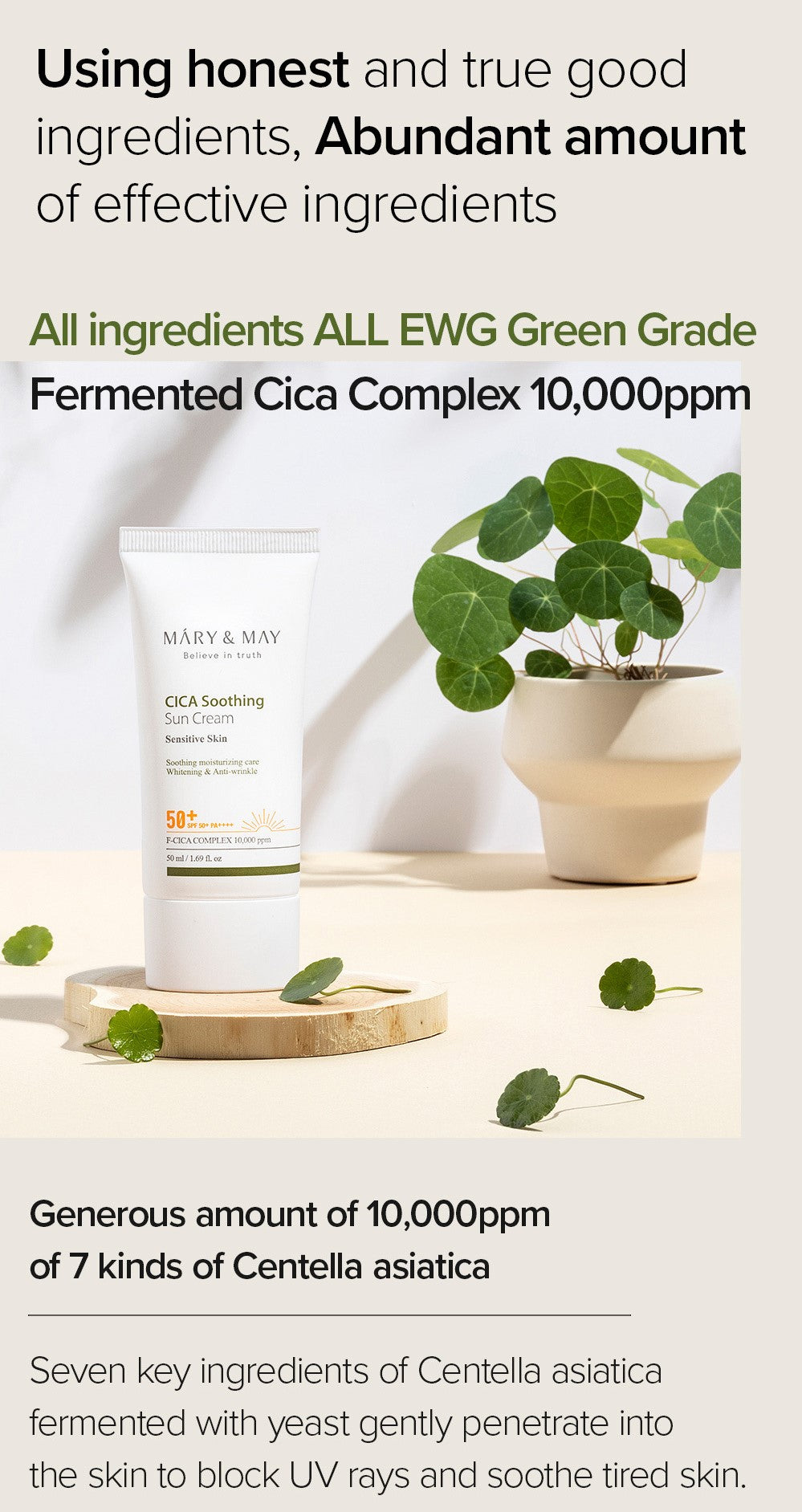 CICA Soothing Sun Cream SPF50+ PA++++ - 50ml | Mary&May