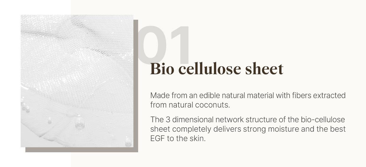Flossom Regenerating Facial Mask EGF 1ppm 1 Sheet | Reblocell