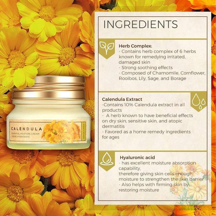 Calendula Essential Moisture Cream 50ml | The Face Shop