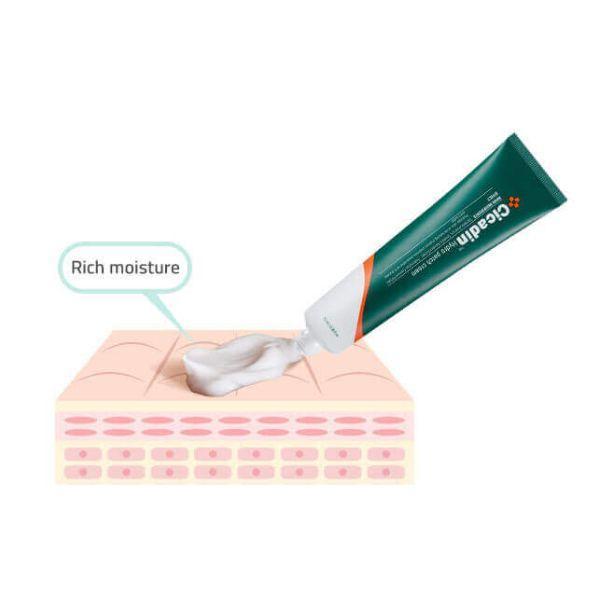 Cicadin Hydro Patch Cream 70ml | MISSHA