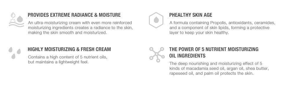 Propolis Ampule Oil-in-Cream 50ml | CNP Laboratory