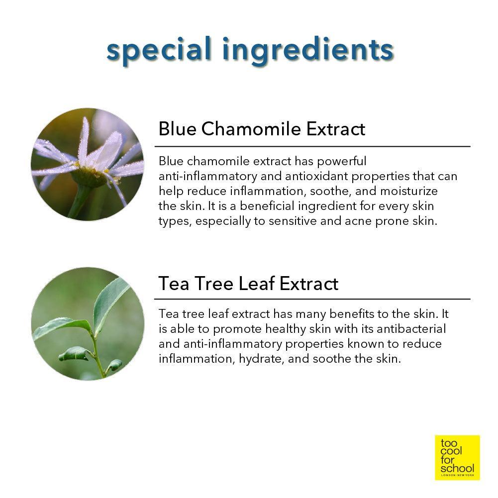 Artclass By Rodin Finish Setting Pact 4g | Too Cool For School