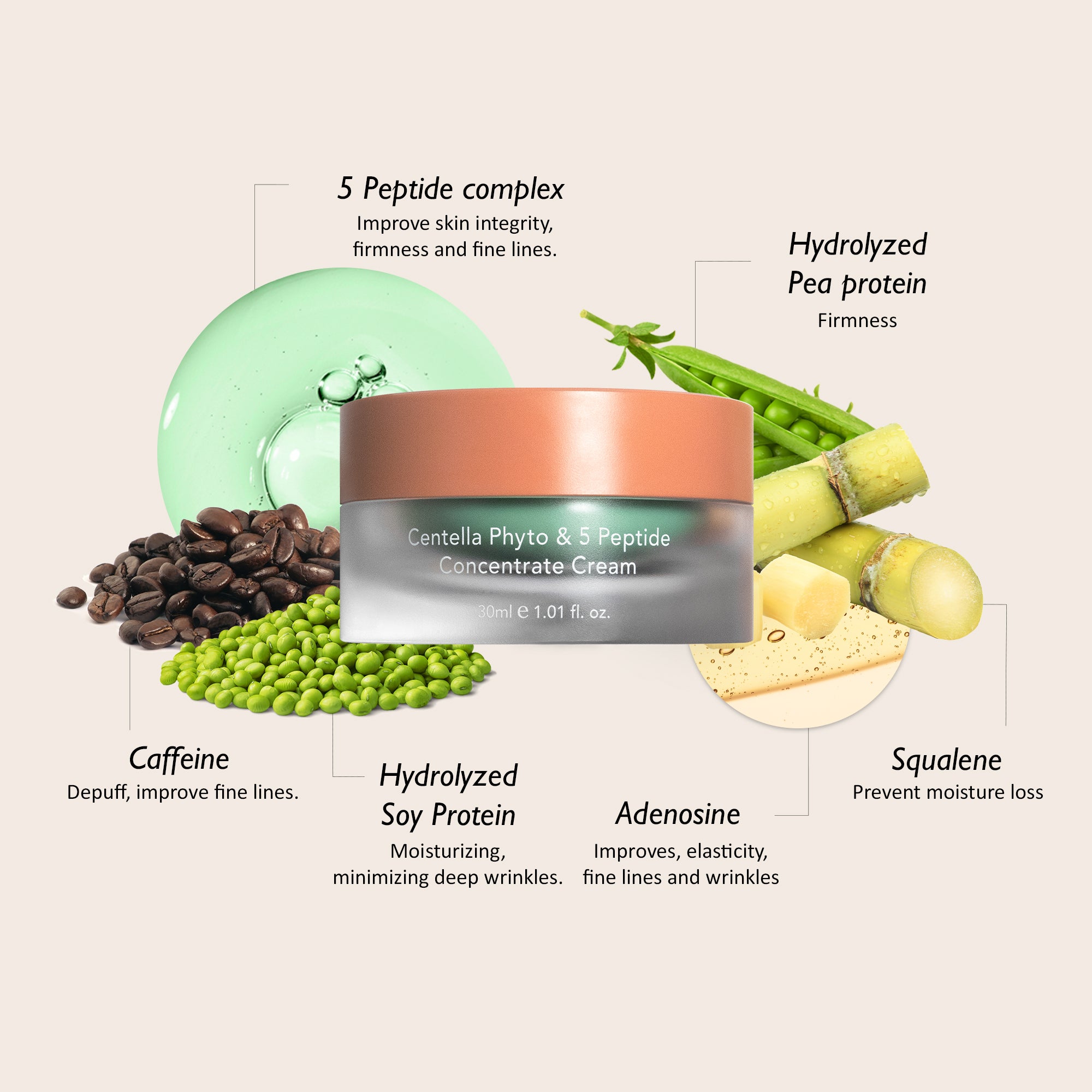 Centella Phyto & 5 Peptide Concentrate Cream - 3Size | Haruharu Wonder