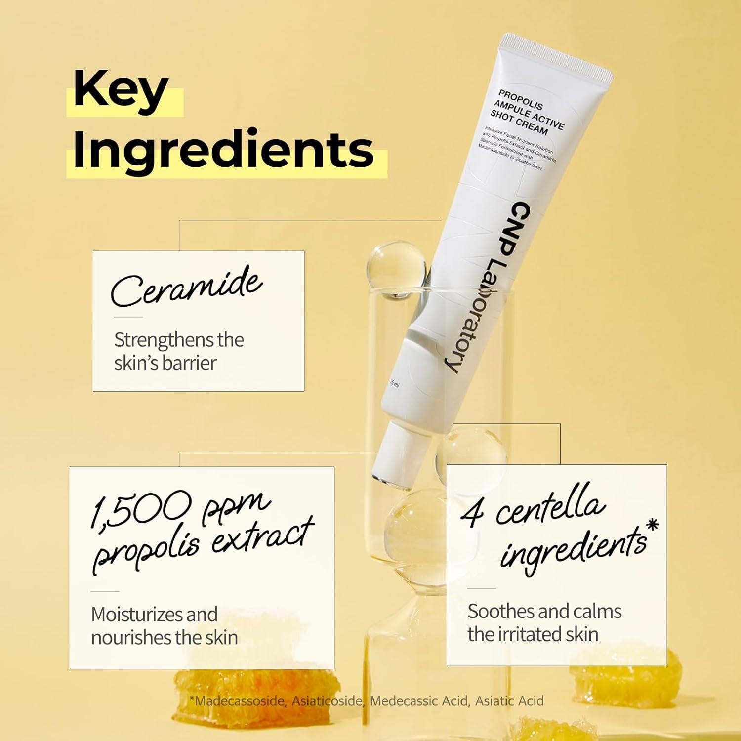 Propolis Ampule Active Shot Cream 75ml | CNP Laboratory