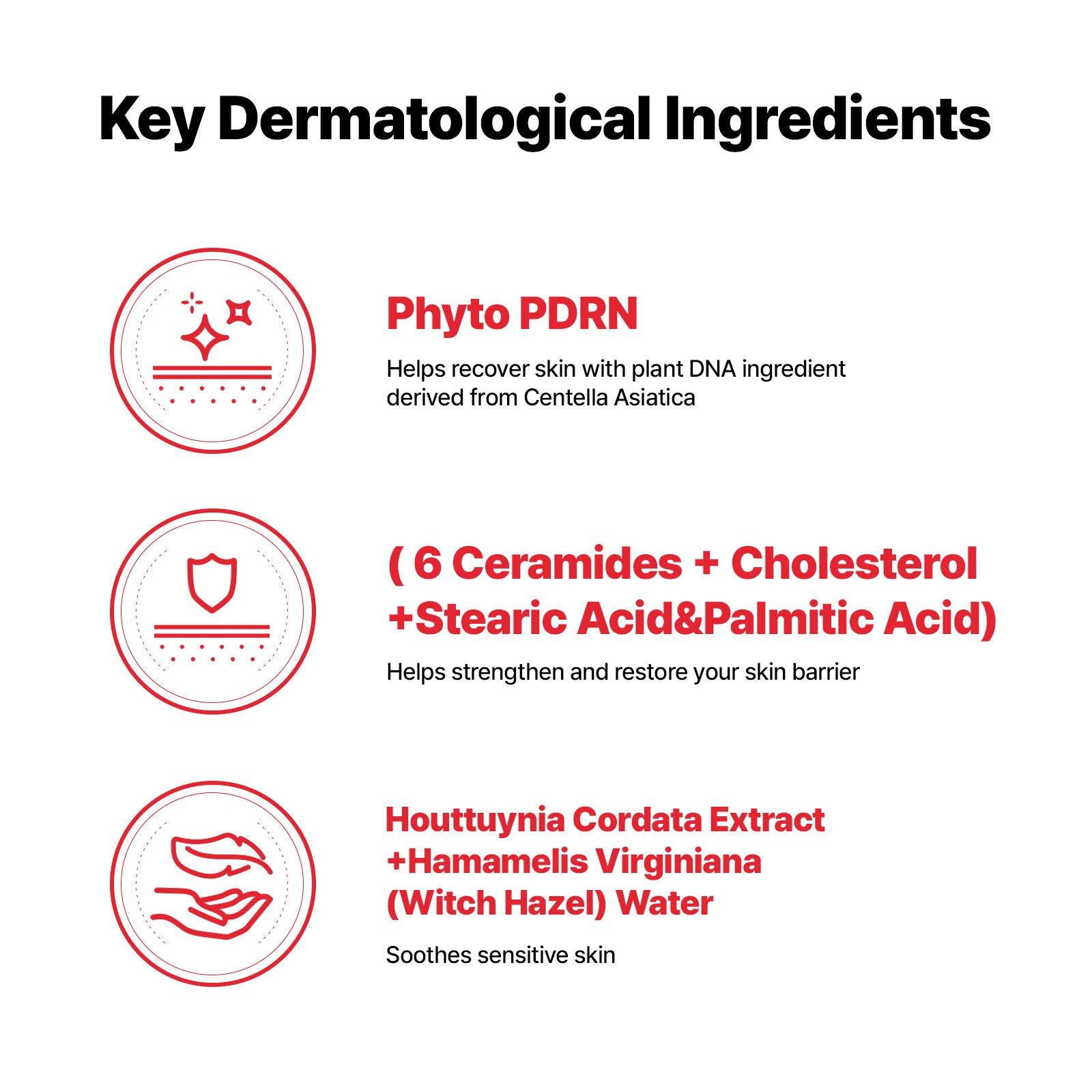 [Bundle] CellFusionC Sunscreen & Ampoule Double Set (2+2)