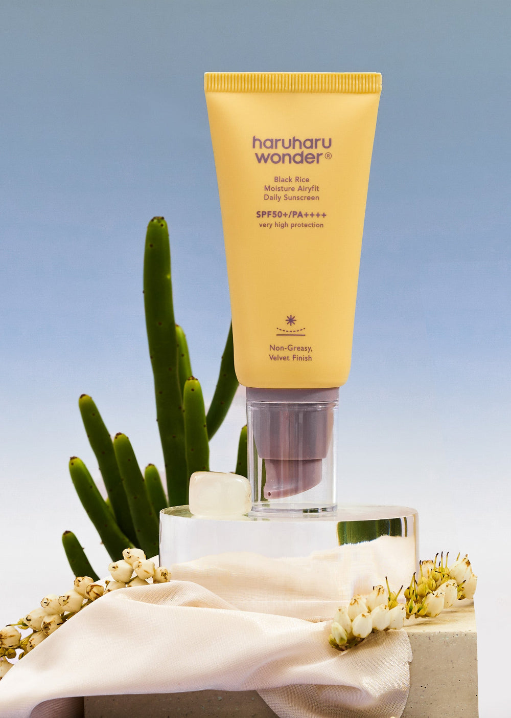 Black Rice Moisture Airyfit Daily Sunscreen SPF50+ | Haruharu Wonder