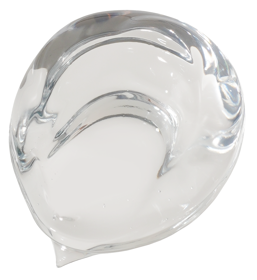 Aloe Soothing Gel Fresh Type 300ml | ISNTREE
