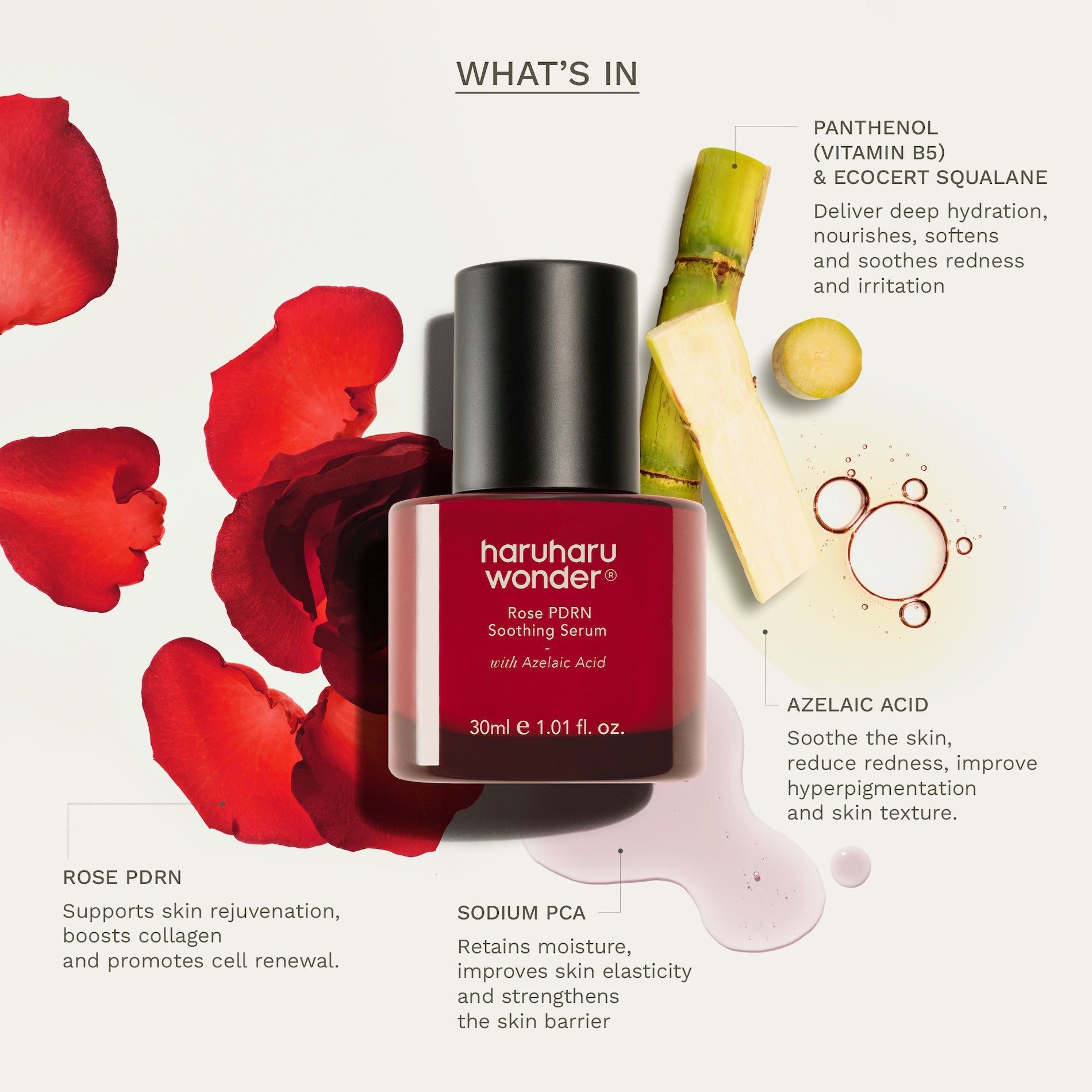 Rose PDRN Soothing Serum 30ml | Haruharu Wonder