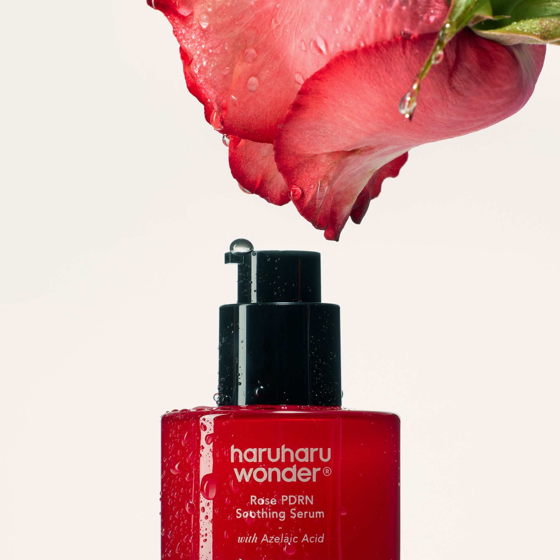 Rose PDRN Radiance Serum for Youthful Glass Skin | Haruharu Wonder