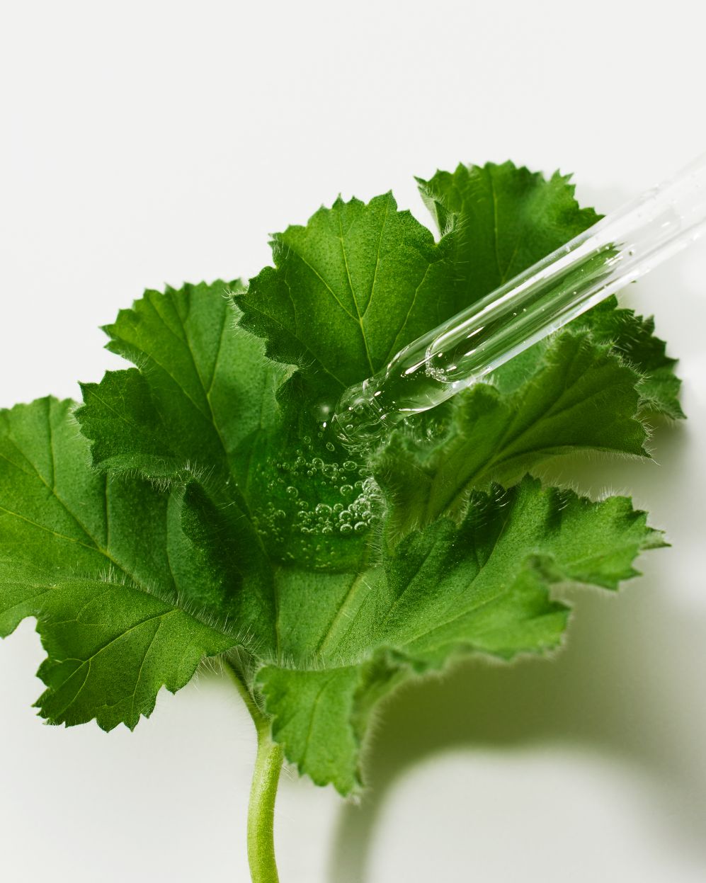 Green Flavonoid™ 5.0 Serum 30ml | The LAB by BLANC DOUX