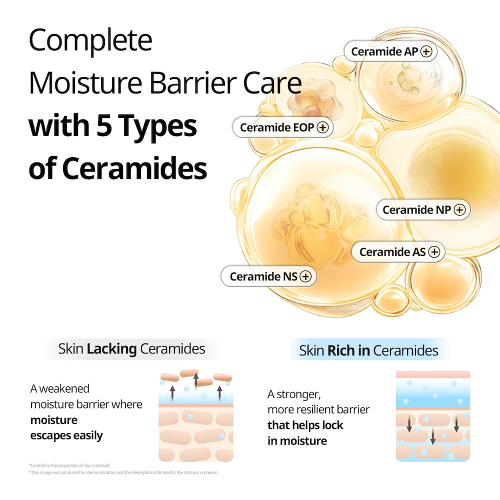 VT Cosmetics Rice Ceramide Capsule Cream - Artisanal Luxury Hydration
