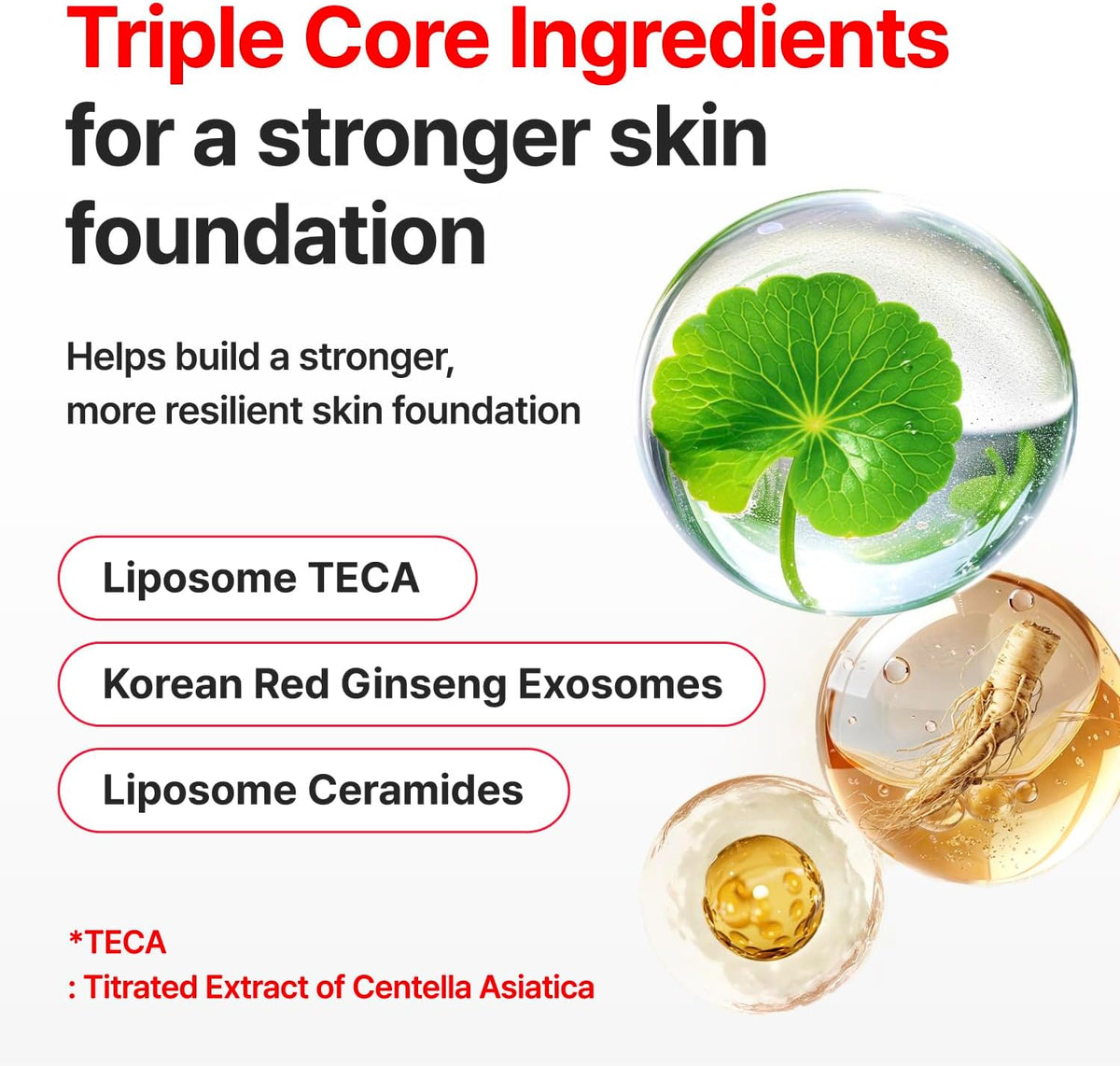 Madeca Time Reverse Boosting Toner 250ml | Centellian24