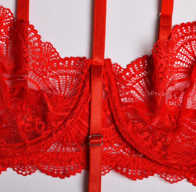 Seductive Scarlet Lace Embroidered Mesh Lingerie Set for Women | ULZZANG BELLA