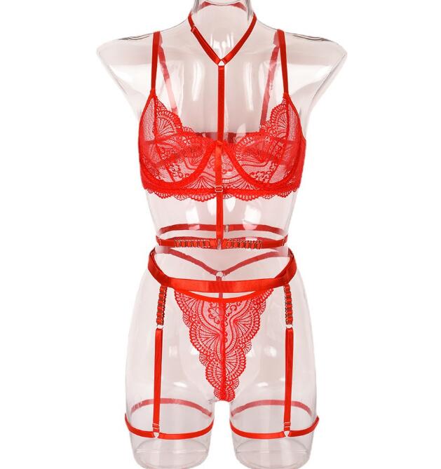 Seductive Scarlet Lace Embroidered Mesh Lingerie Set for Women | ULZZANG BELLA